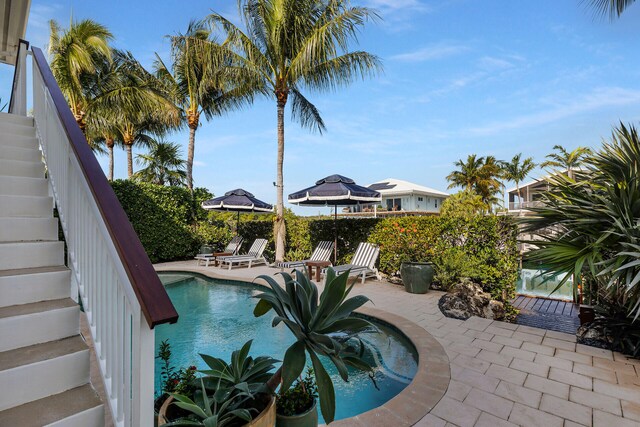 view of swimming pool with a patio area