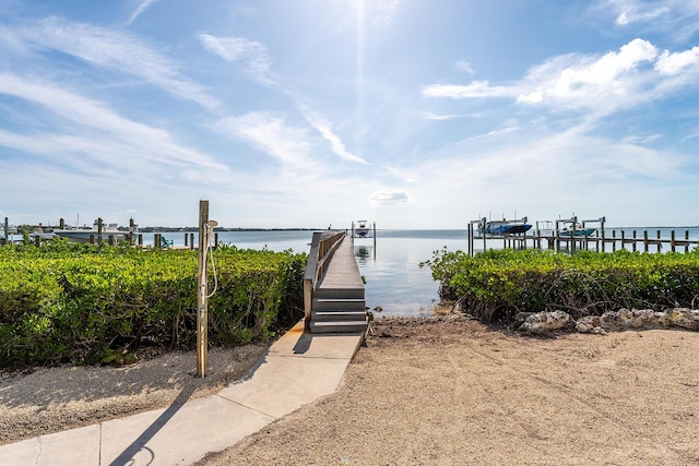 dock area with a water view