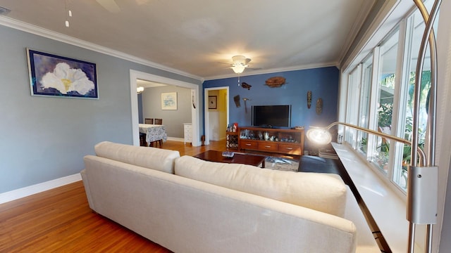 living room featuring hardwood / wood-style flooring, ceiling fan, and crown molding