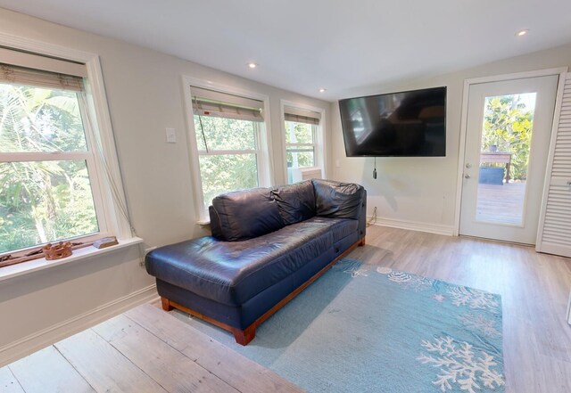 living room with light wood-type flooring