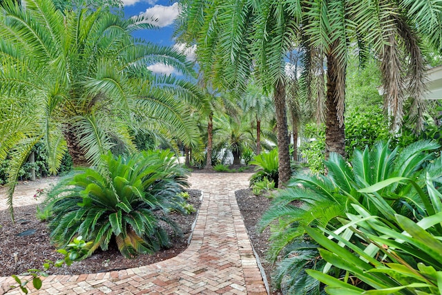 141 Plantation Blvd, Islamorada, FL 33036 - photo 9