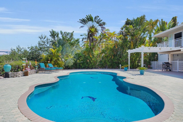 view of pool featuring a patio area, grilling area, and a pergola