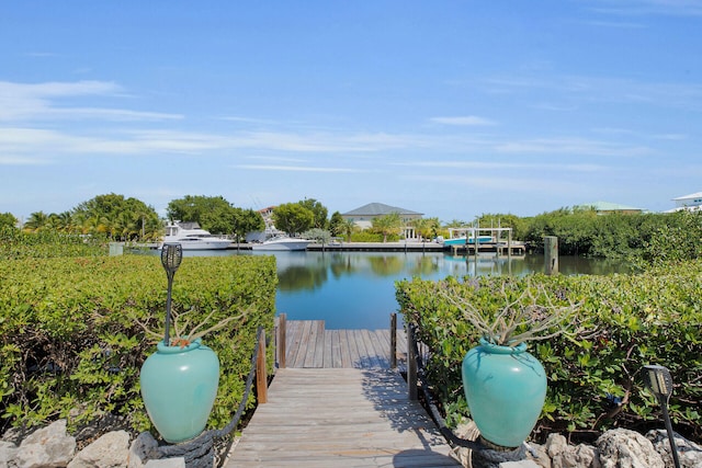 dock area featuring a water view