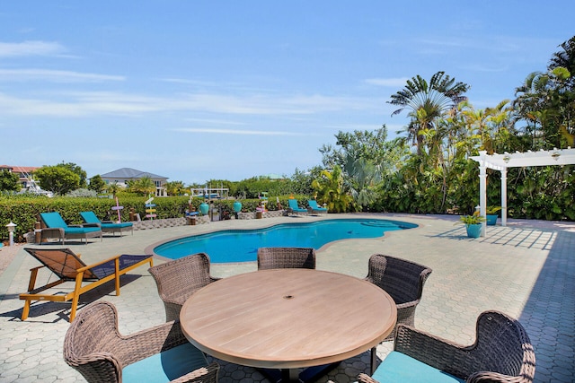 view of swimming pool featuring a pergola and a patio