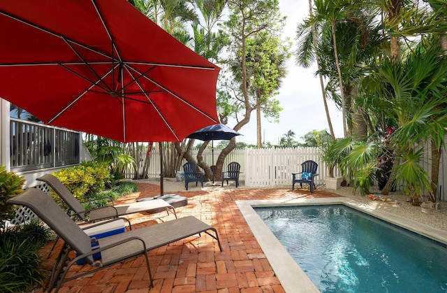 view of swimming pool featuring a patio