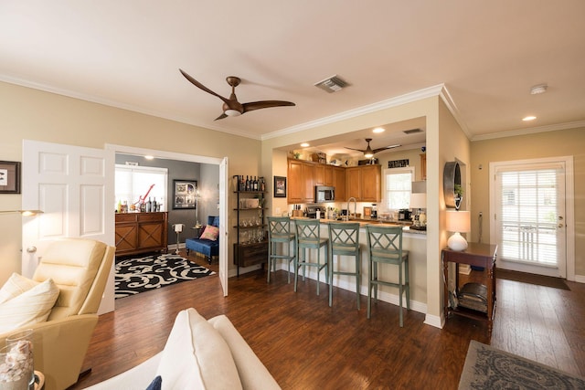 living room featuring sink, crown molding, dark wood-type flooring, and ceiling fan