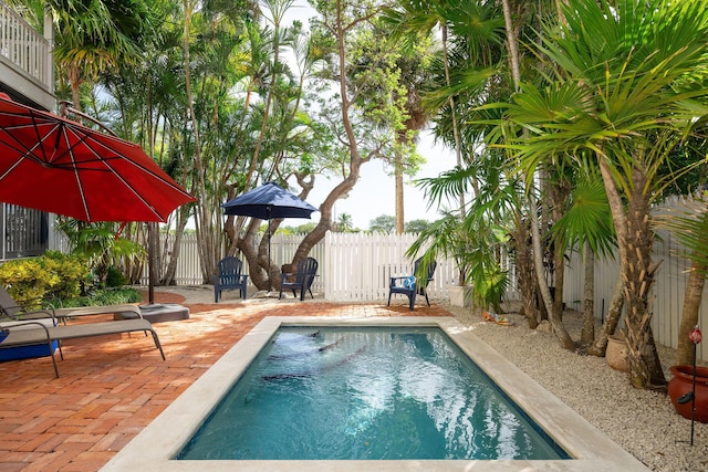 view of pool with a patio area