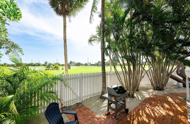 view of patio / terrace with grilling area