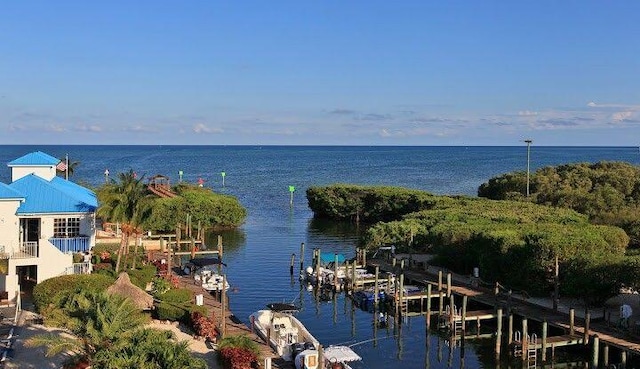 water view with a boat dock