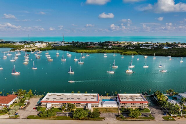 bird's eye view featuring a water view