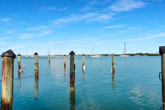 water view with a dock