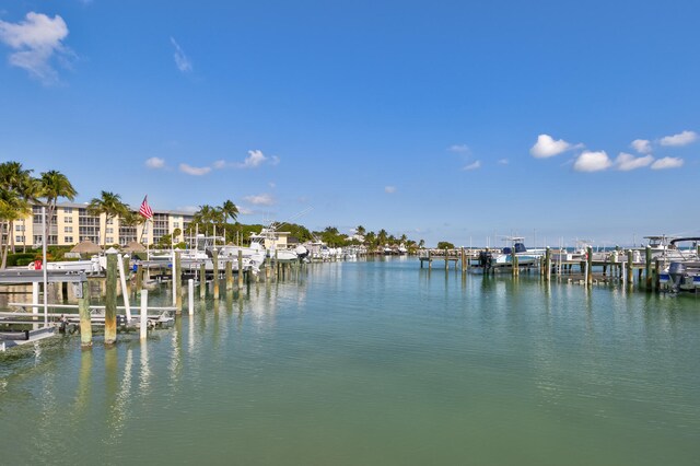 property view of water featuring a boat dock