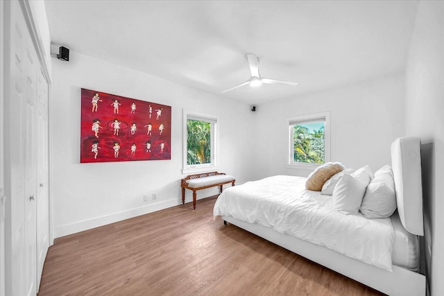 bedroom featuring multiple windows, hardwood / wood-style floors, ceiling fan, and a closet