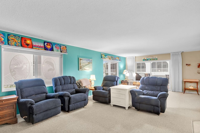 115 Primrose Ln, Long Key, FL 33001 - living area featuring carpet and a textured ceiling