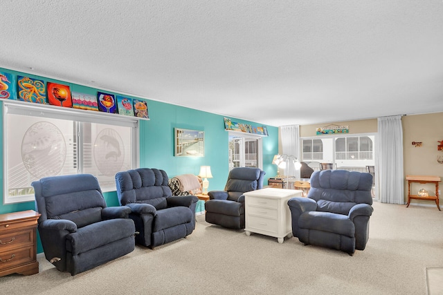 living room with carpet floors and a textured ceiling