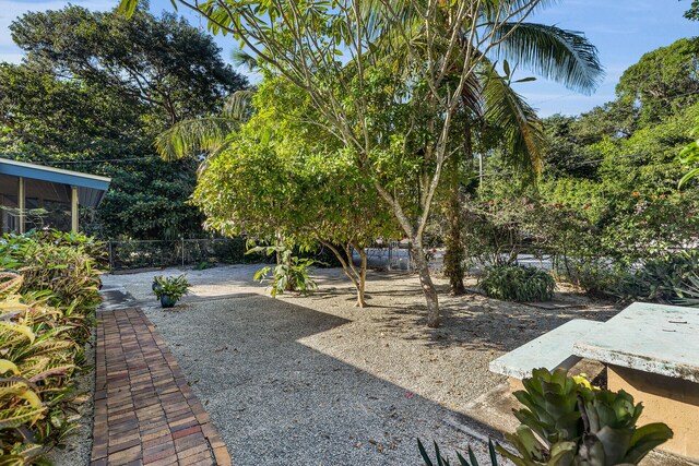 view of yard with a patio area