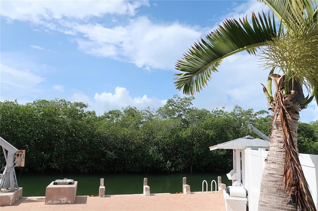 property view of water with a dock