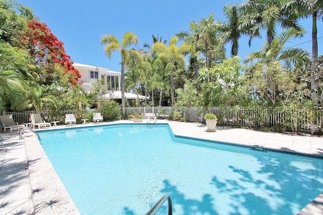 view of swimming pool