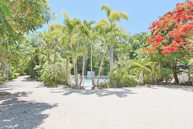 view of property's community featuring a pool