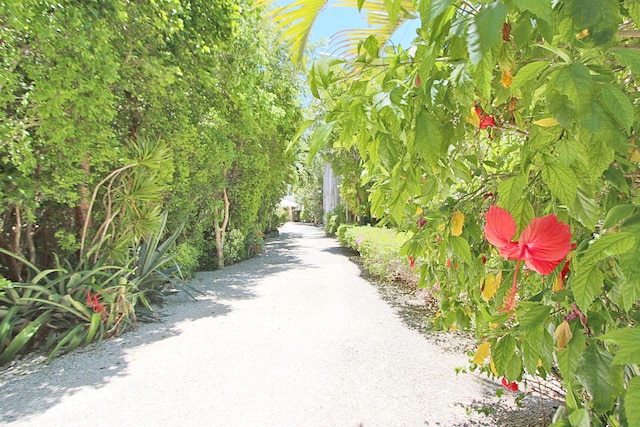 88547 Old Hwy, Tavernier, FL 33070 - view of road