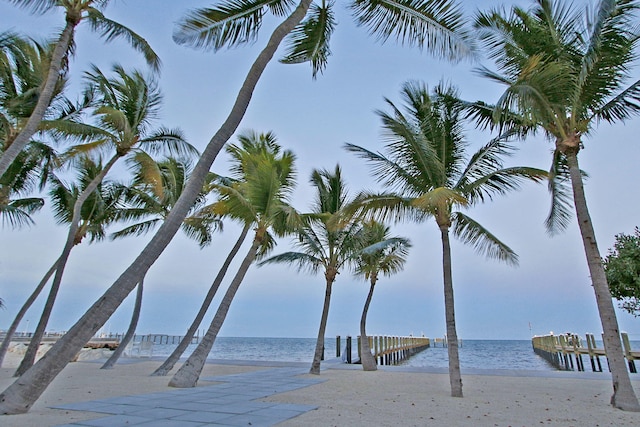 view of water feature featuring a beach view