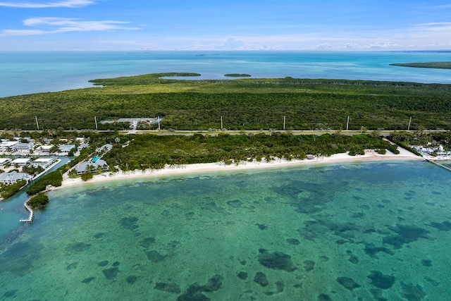 aerial view with a view of the beach and a water view