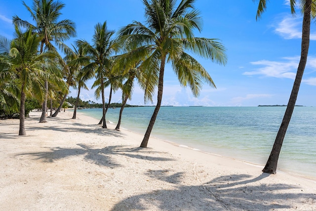 view of water feature with a beach view