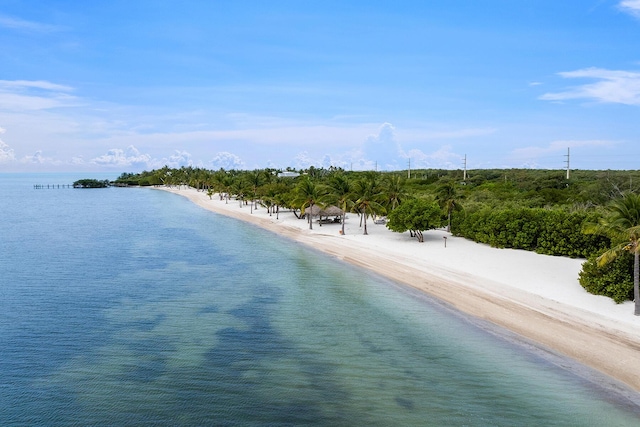 aerial view featuring a view of the beach and a water view