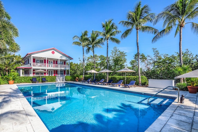 view of swimming pool with a patio