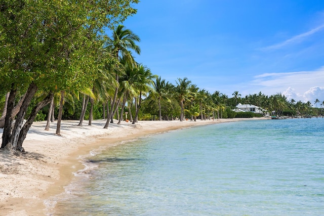 water view with a beach view