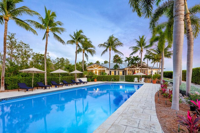 view of pool featuring a patio