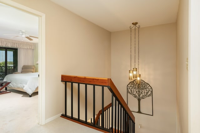 staircase featuring carpet and ceiling fan