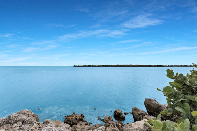 property view of water