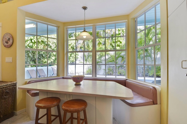 dining area with plenty of natural light