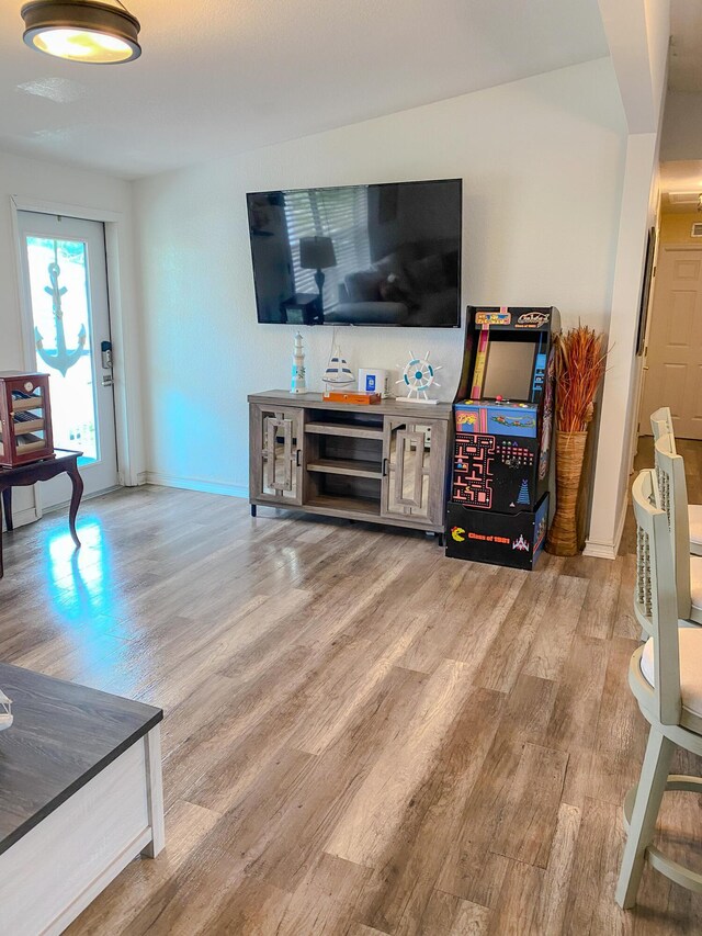 living room with light hardwood / wood-style floors