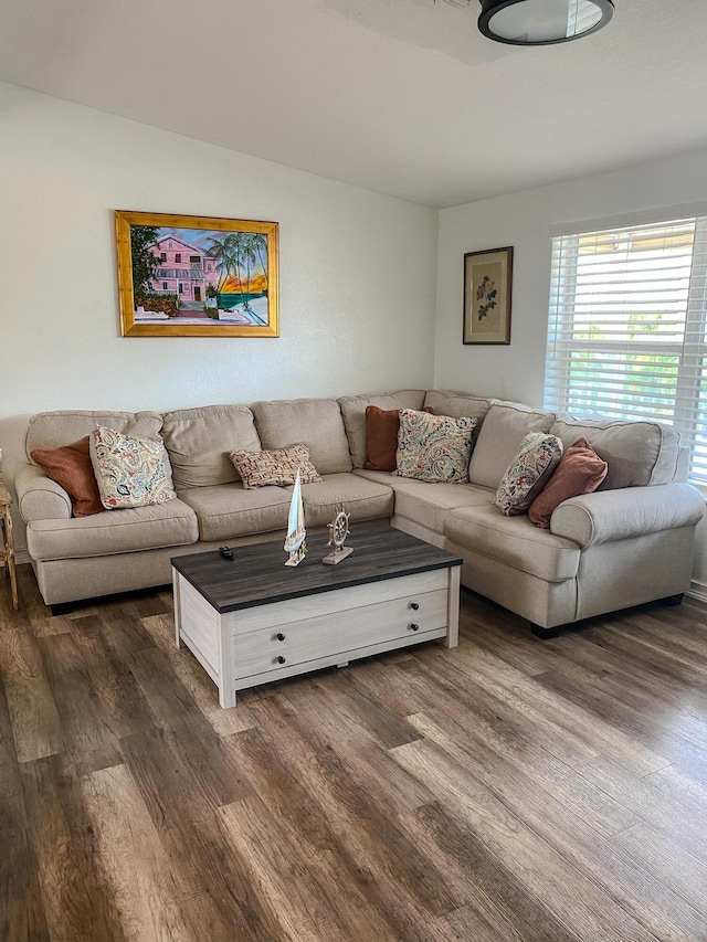 living room featuring dark hardwood / wood-style flooring