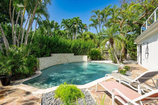 view of pool with a patio area