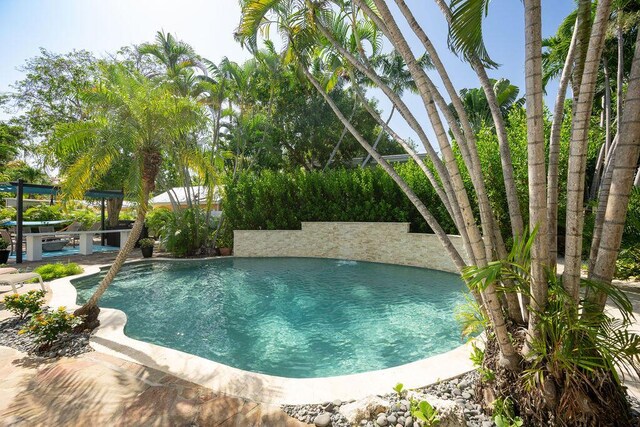 view of swimming pool with a patio area