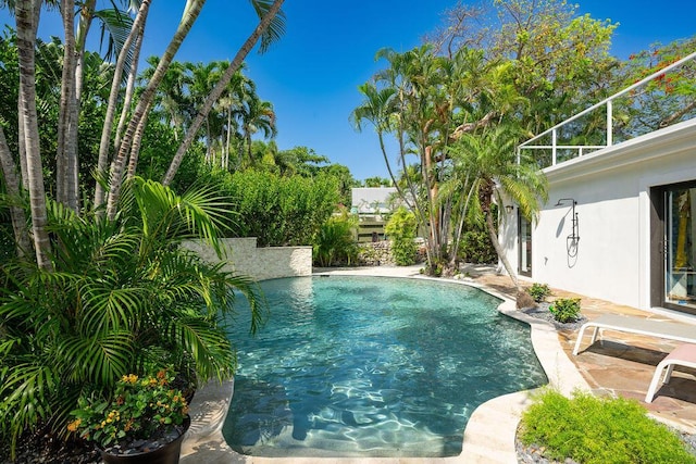 view of swimming pool with a patio area