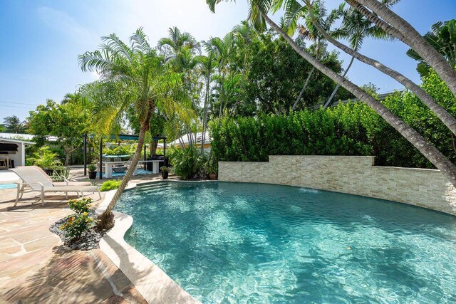 view of pool with a patio