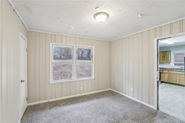 unfurnished bedroom featuring carpet floors, a textured ceiling, and crown molding