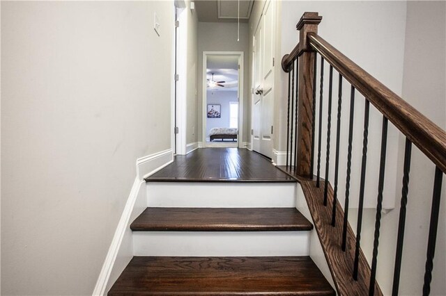 staircase featuring wood-type flooring