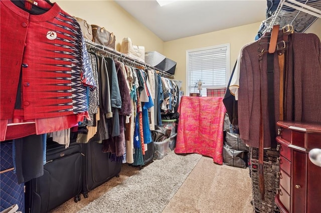 spacious closet with carpet floors