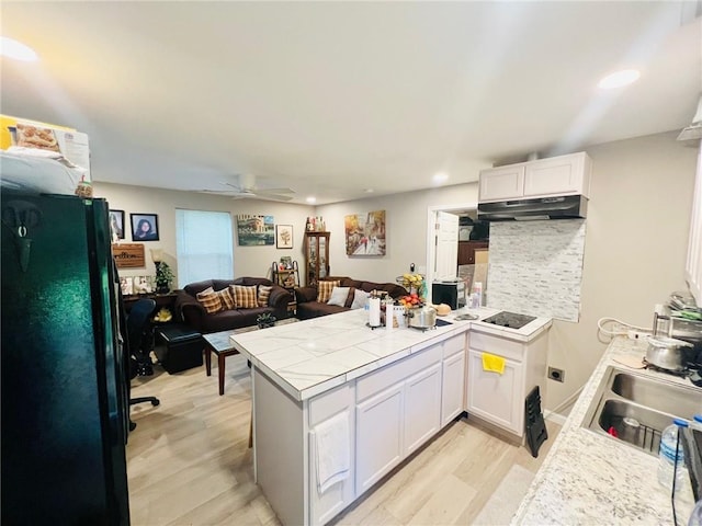 31 Cline Dr SW, Cartersville, GA 30120 - kitchen with under cabinet range hood, a peninsula, a sink, open floor plan, and light wood-style flooring