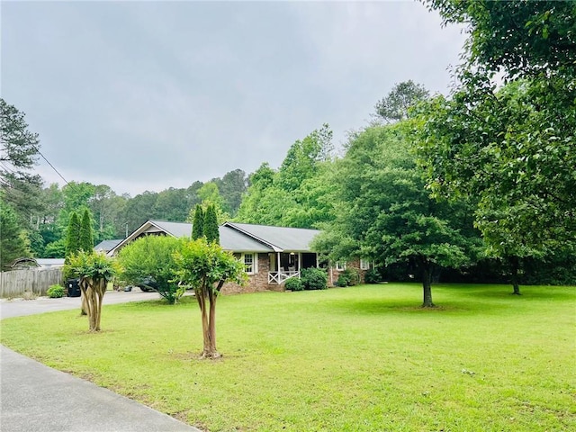 31 Cline Dr SW, Cartersville, GA 30120 - view of yard featuring driveway