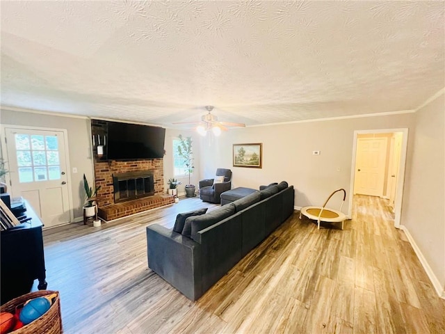 31 Cline Dr SW, Cartersville, GA 30120 - living room featuring light wood-style flooring, a textured ceiling, a ceiling fan, crown molding, and a fireplace