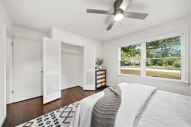 bedroom featuring dark wood-type flooring, ceiling fan, and a closet