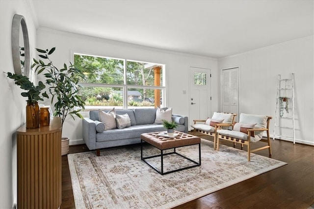 living room with crown molding and dark wood-type flooring