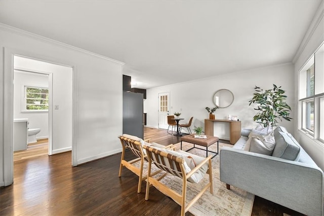 living room with crown molding and dark hardwood / wood-style floors