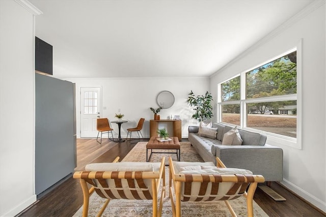 living room featuring ornamental molding and dark hardwood / wood-style flooring